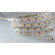 Double Color Warm White+ Pure White SMD5630 CCT Adjustable LED Strip Light